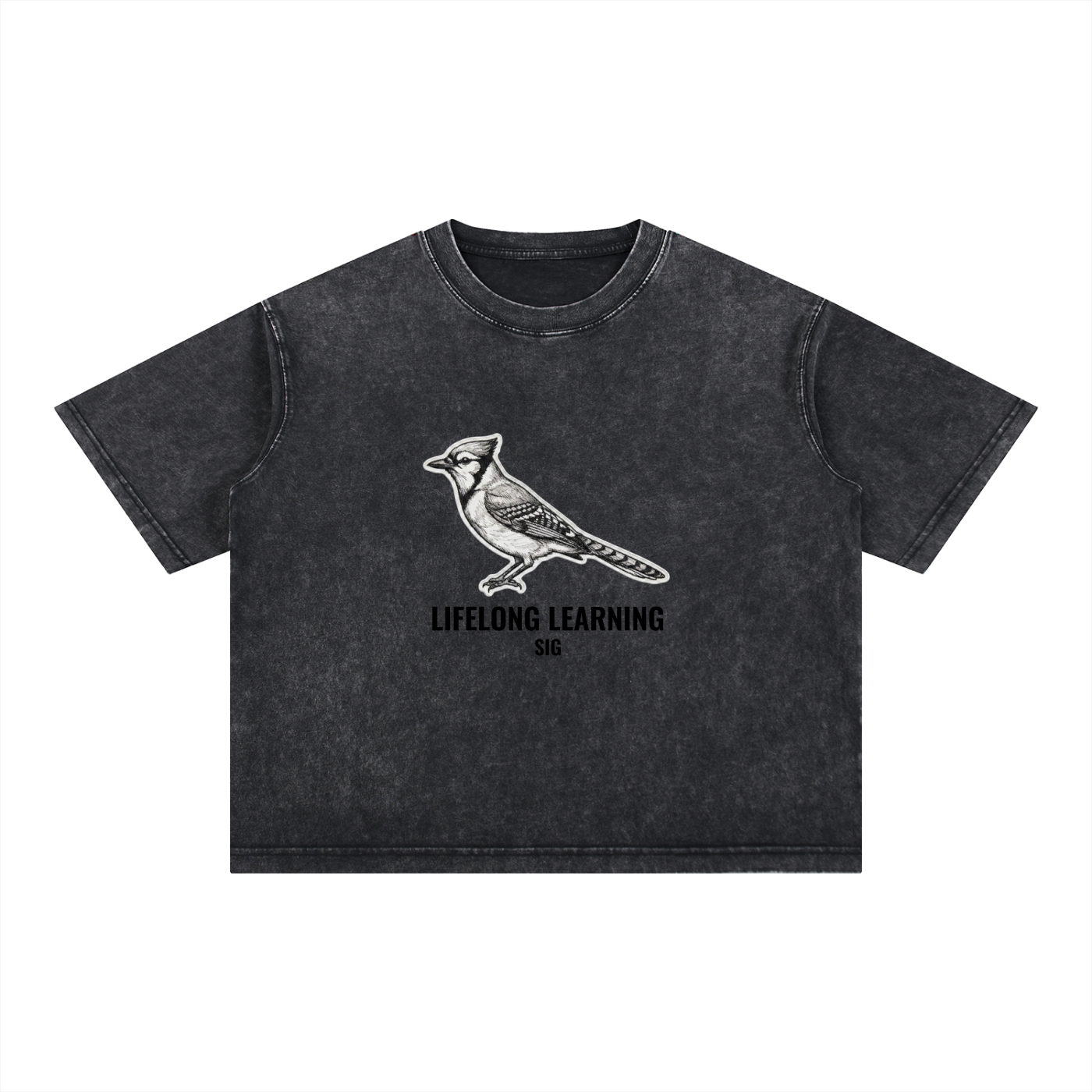 Mineral Wash Boxy Cotton T-Shirt
