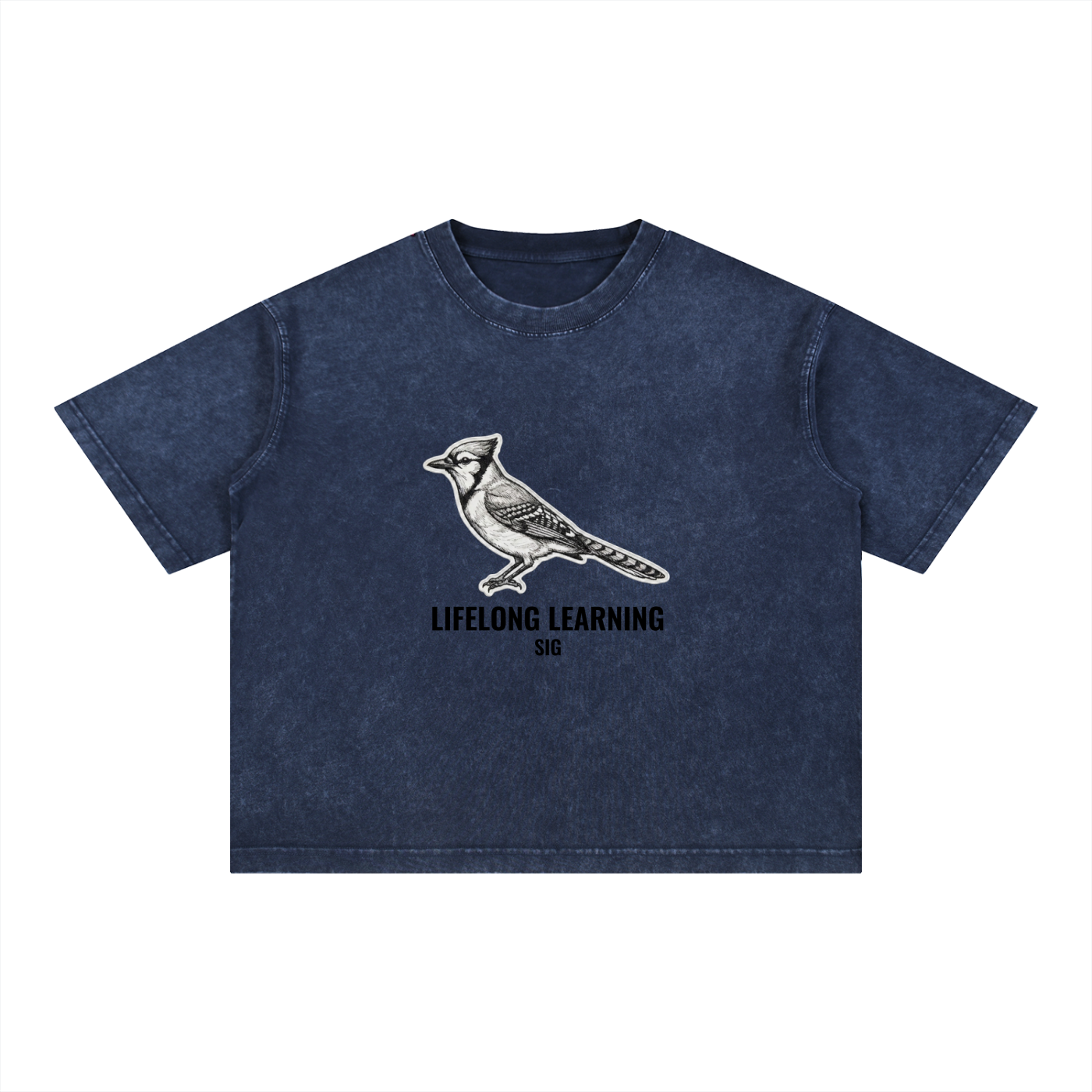 Mineral Wash Boxy Cotton T-Shirt