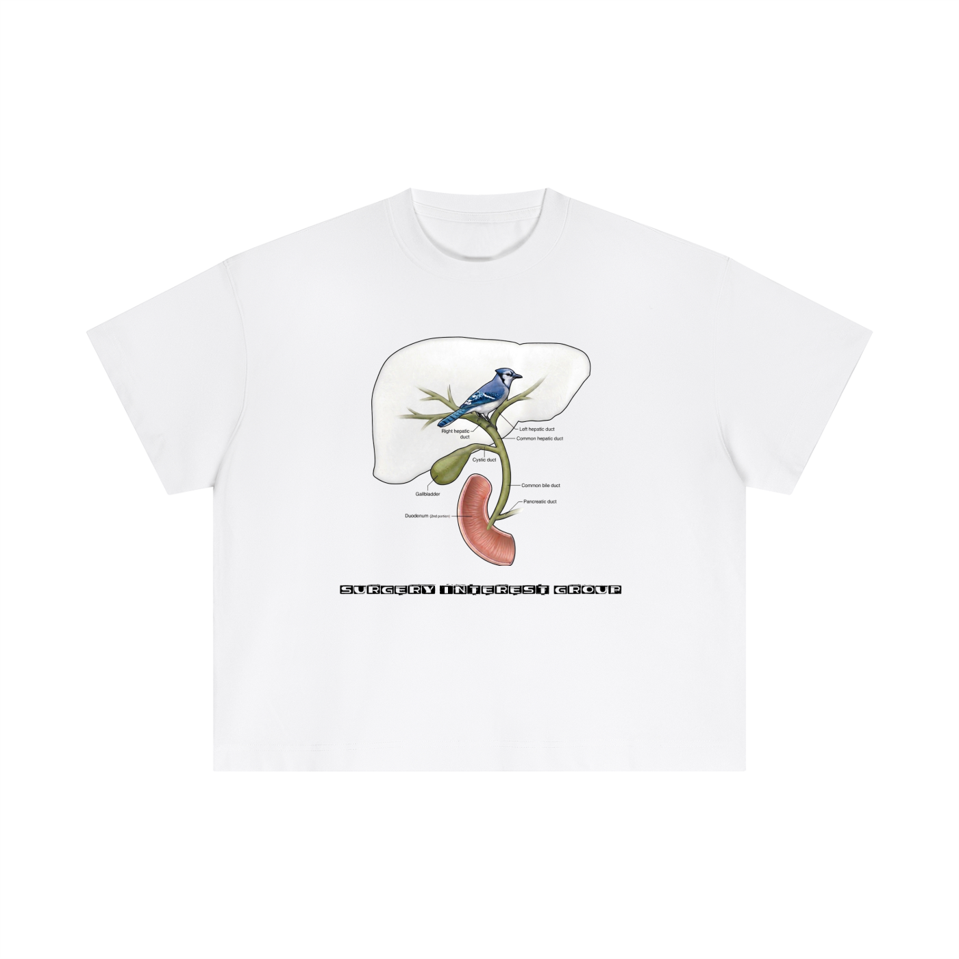 Essential Cotton Boxy T-Shirt