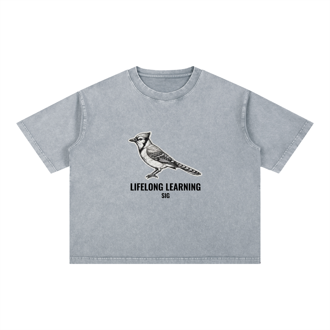 Mineral Wash Boxy Cotton T-Shirt