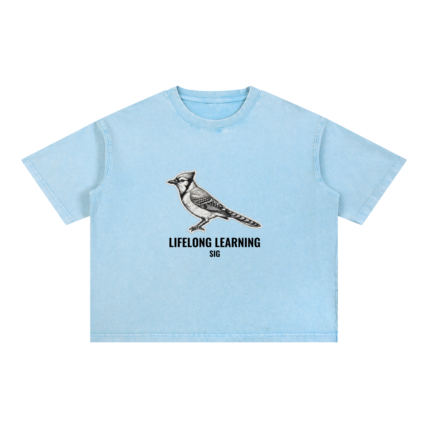 Mineral Wash Boxy Cotton T-Shirt